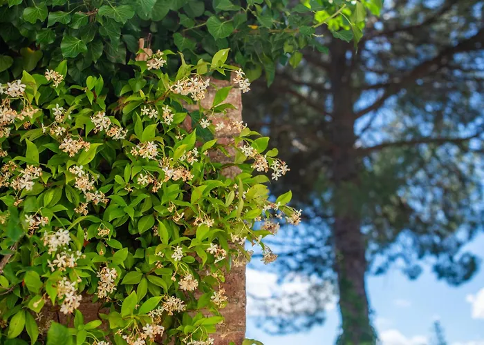 Apartmán Caselunghe Exclusive Siena